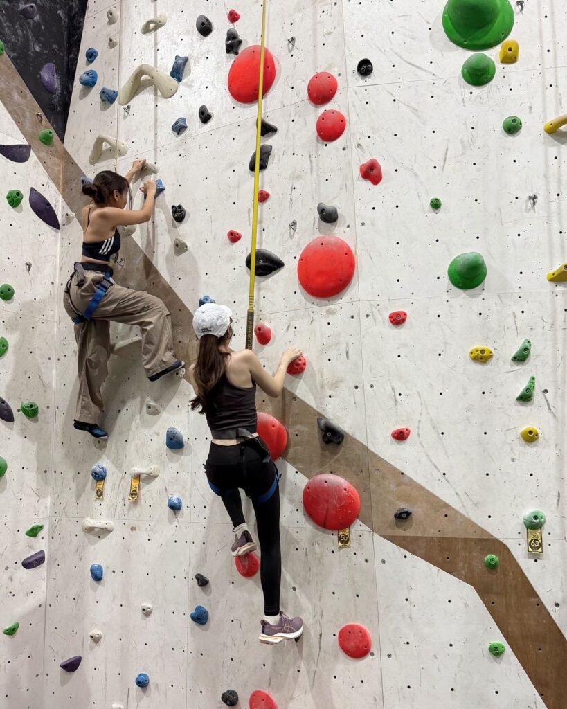 Activités de la salle Altitude Grimpe activité escalade salle